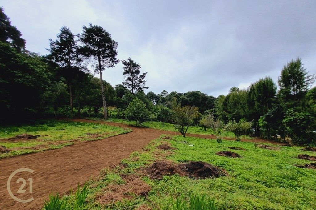 Lotes a la venta en área ecológica