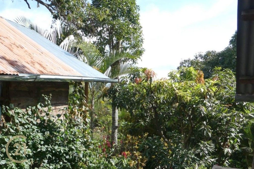 DT View of garden from balcony 1-0