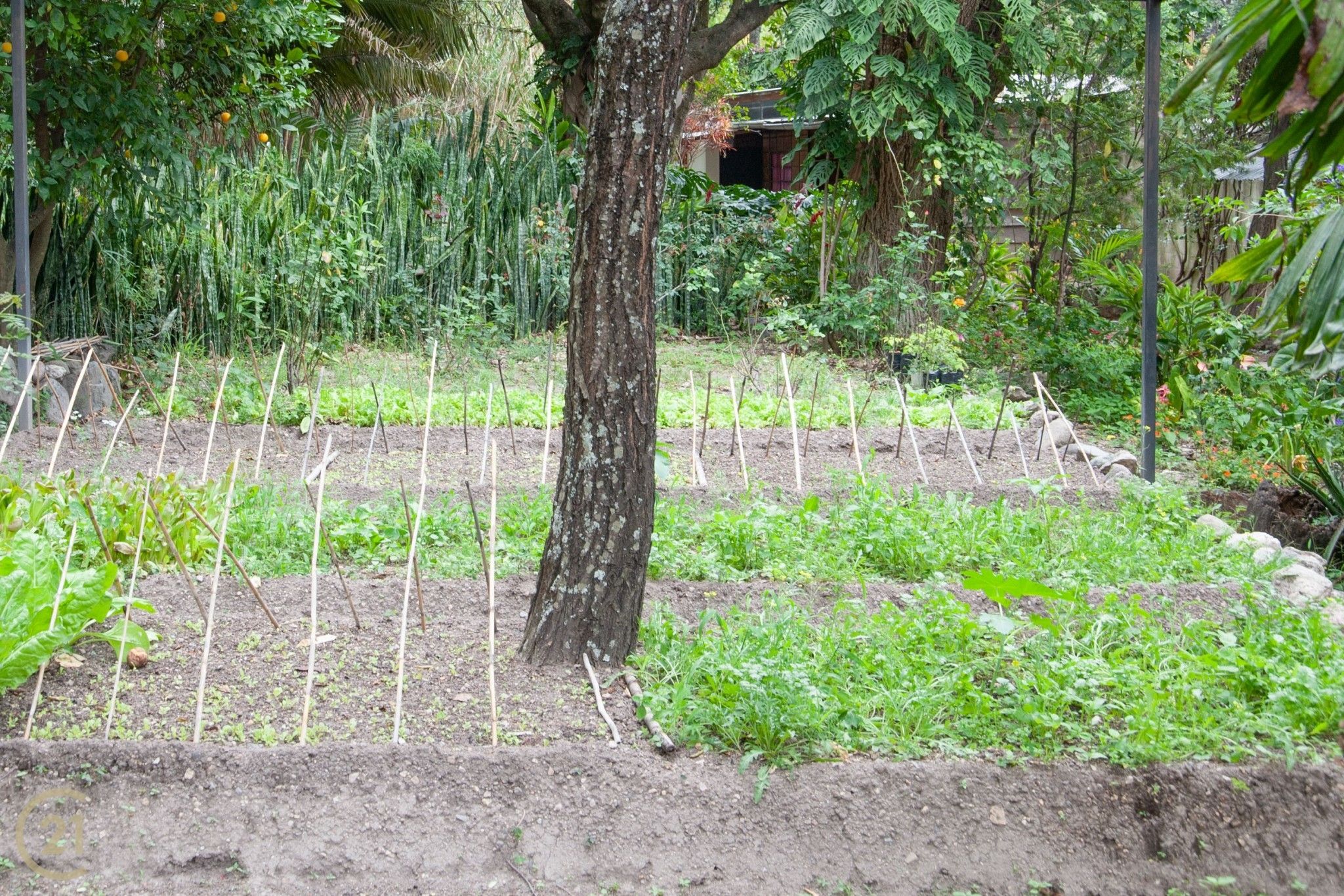 1205_rp_gardens_2-1