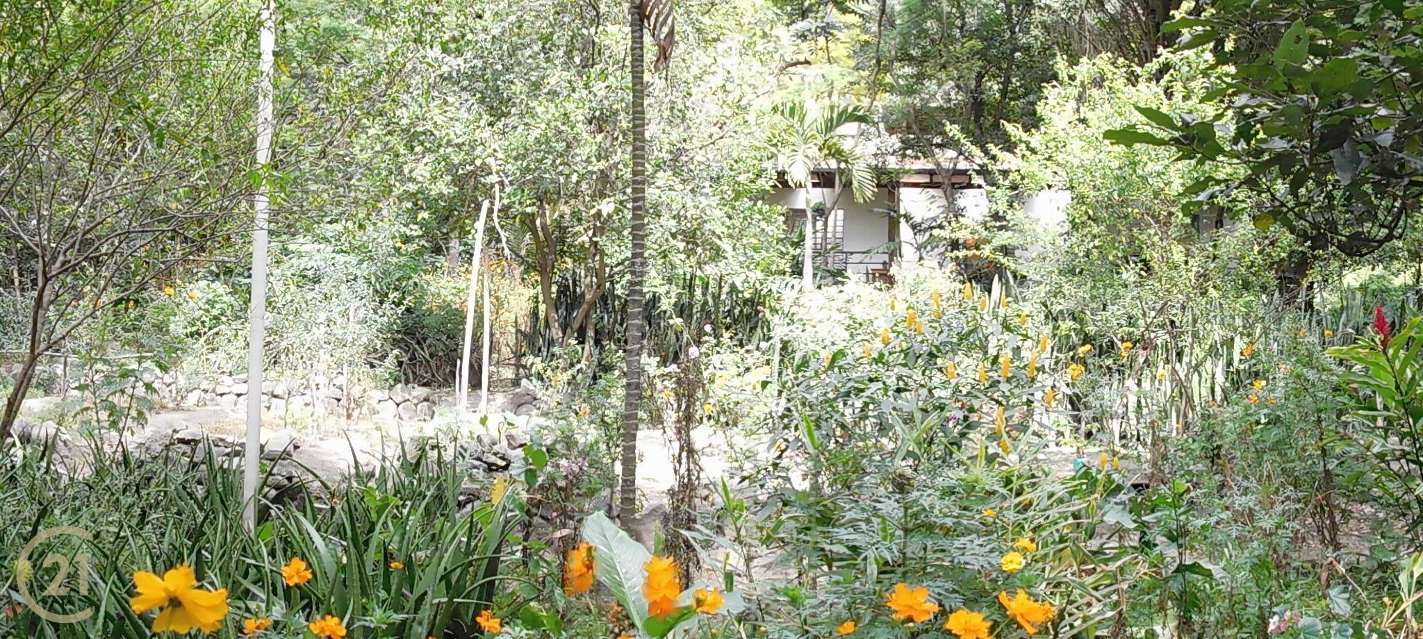 1205_rp_panorama_garden_1-1