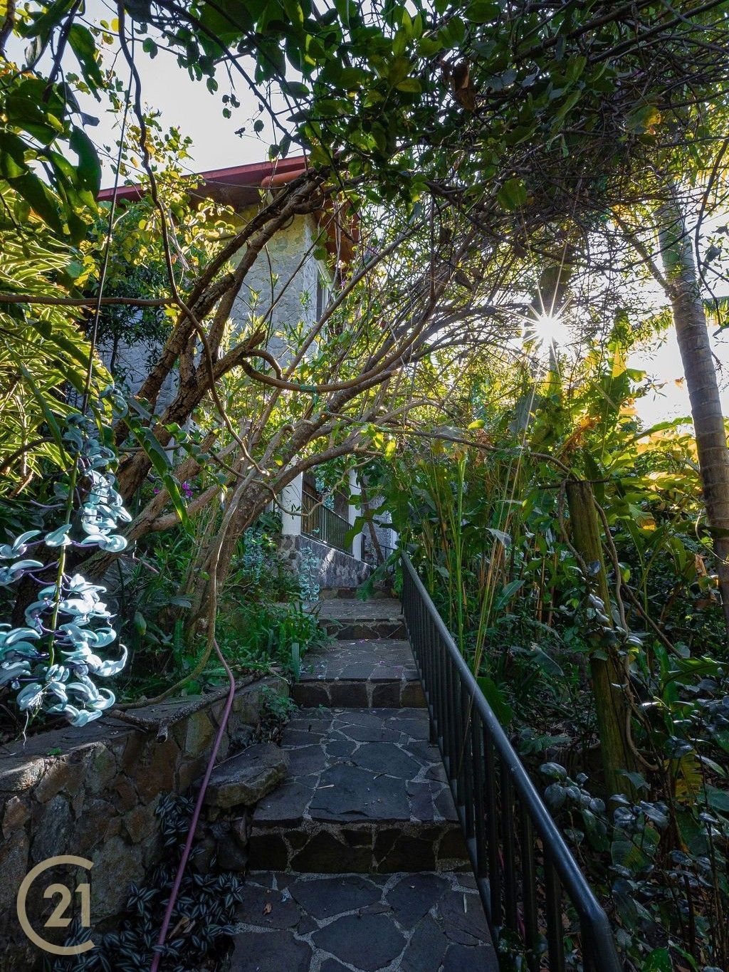 1379_isc_-_gardens_1-8