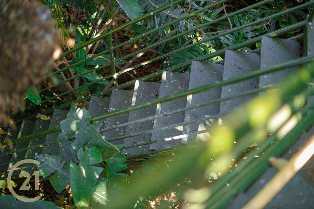 1379_isc_-_platform_in_avocado_tree_1-1