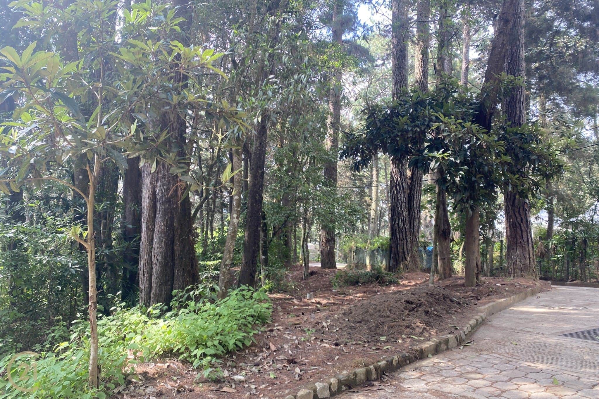 House in San Lucas Sacatepequez