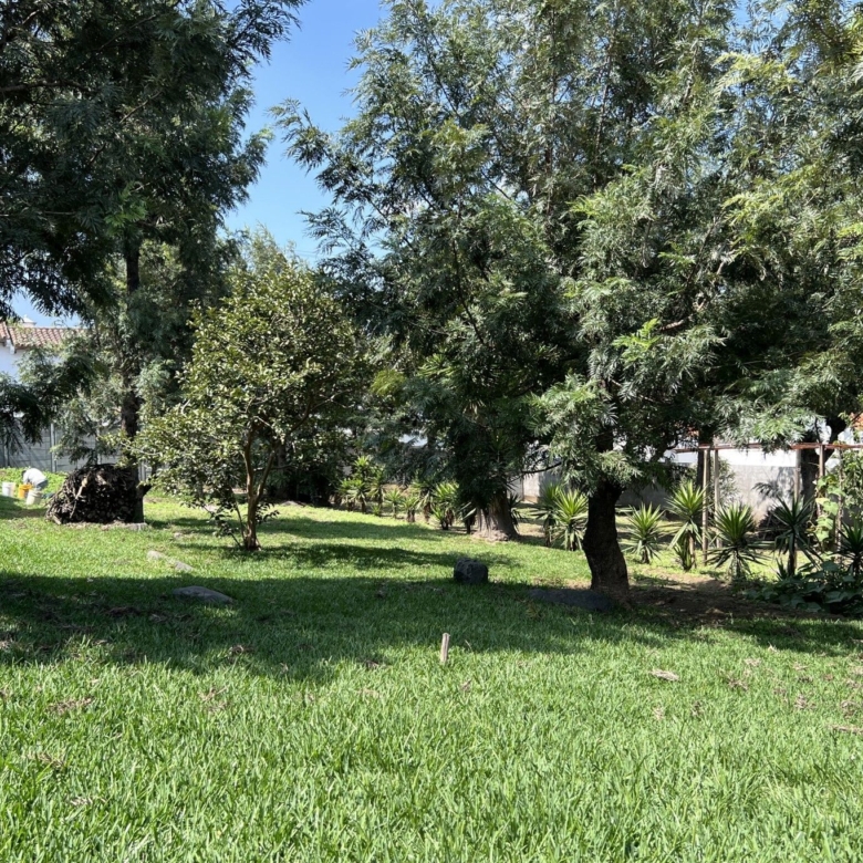 780