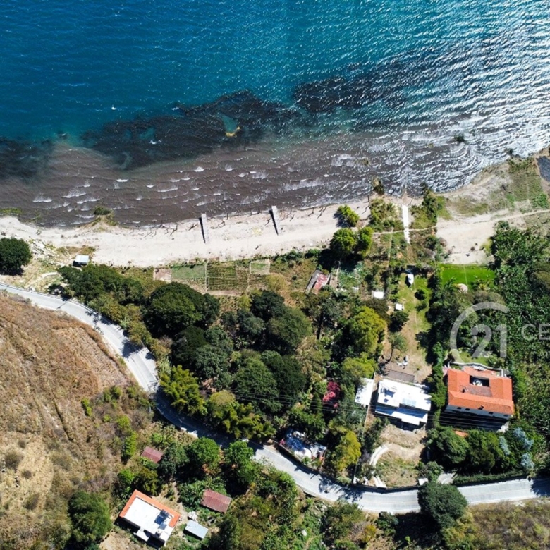 780