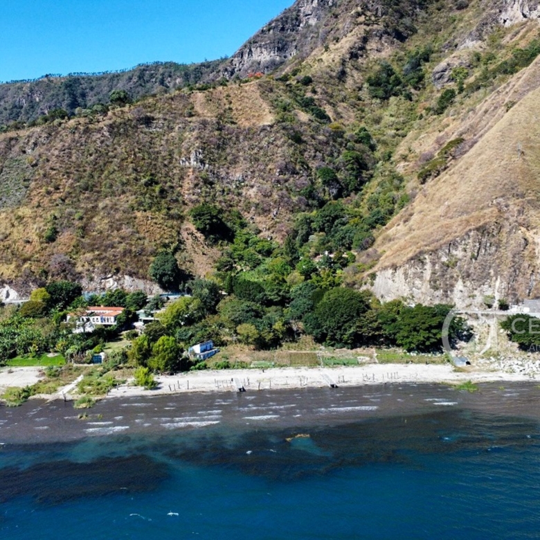 780