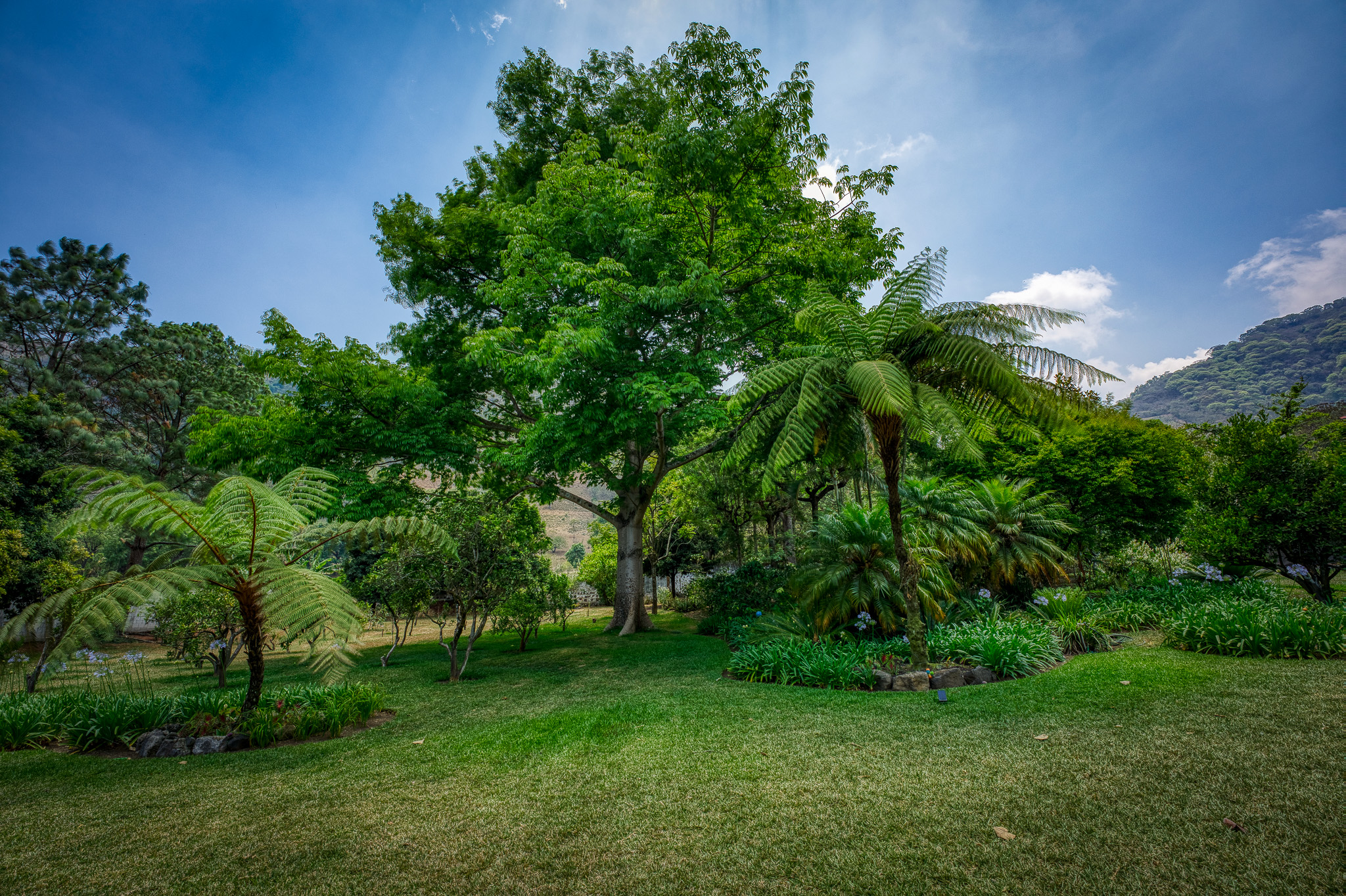 Finca Cafetalera y Casa de Campo, San Miguel Dueñas, Valle de Antigua