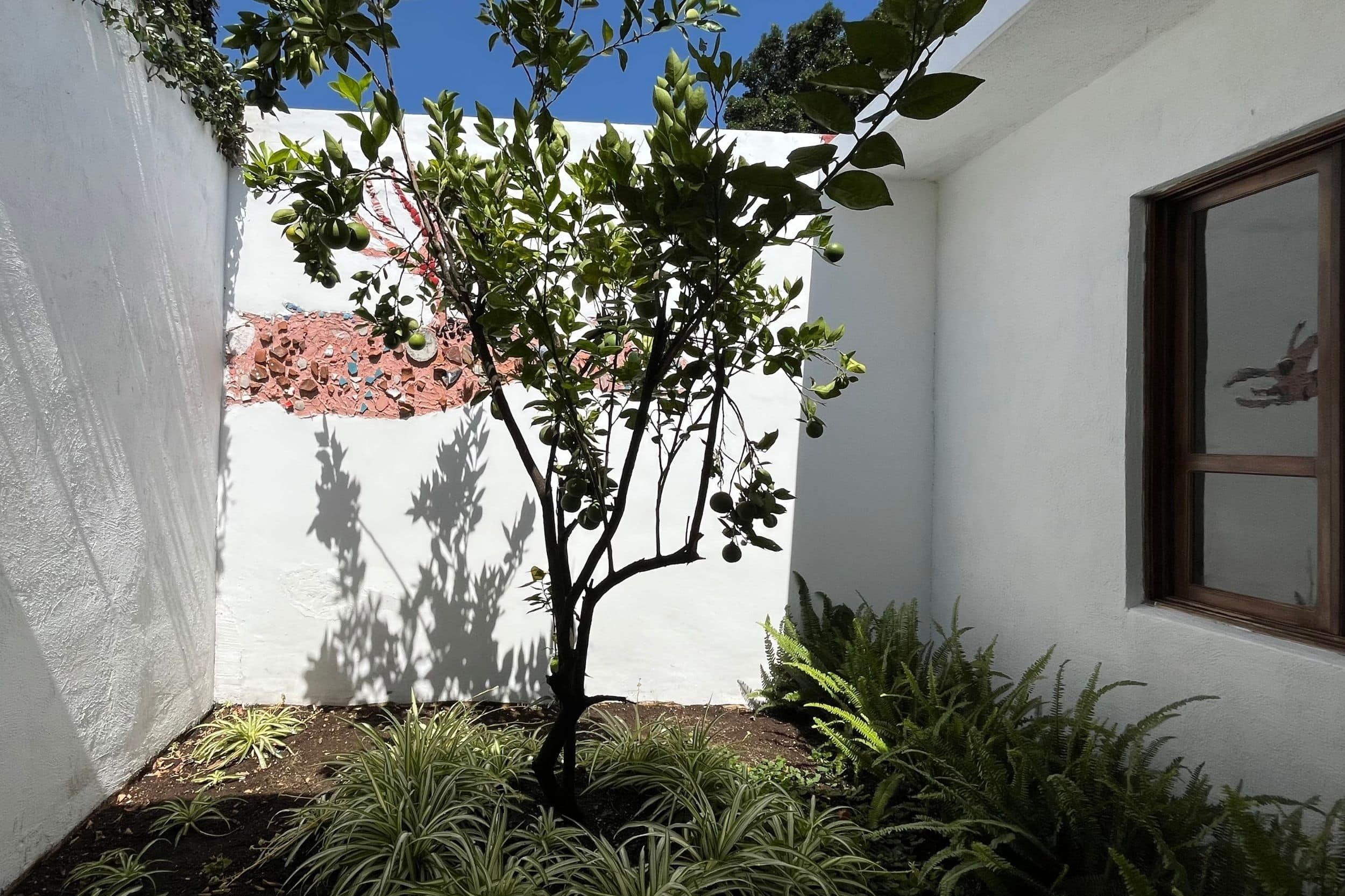 Beautiful Home for Rent in San Pedro El Alto, Antigua Guatemala, 4 bedrooms and a large garden