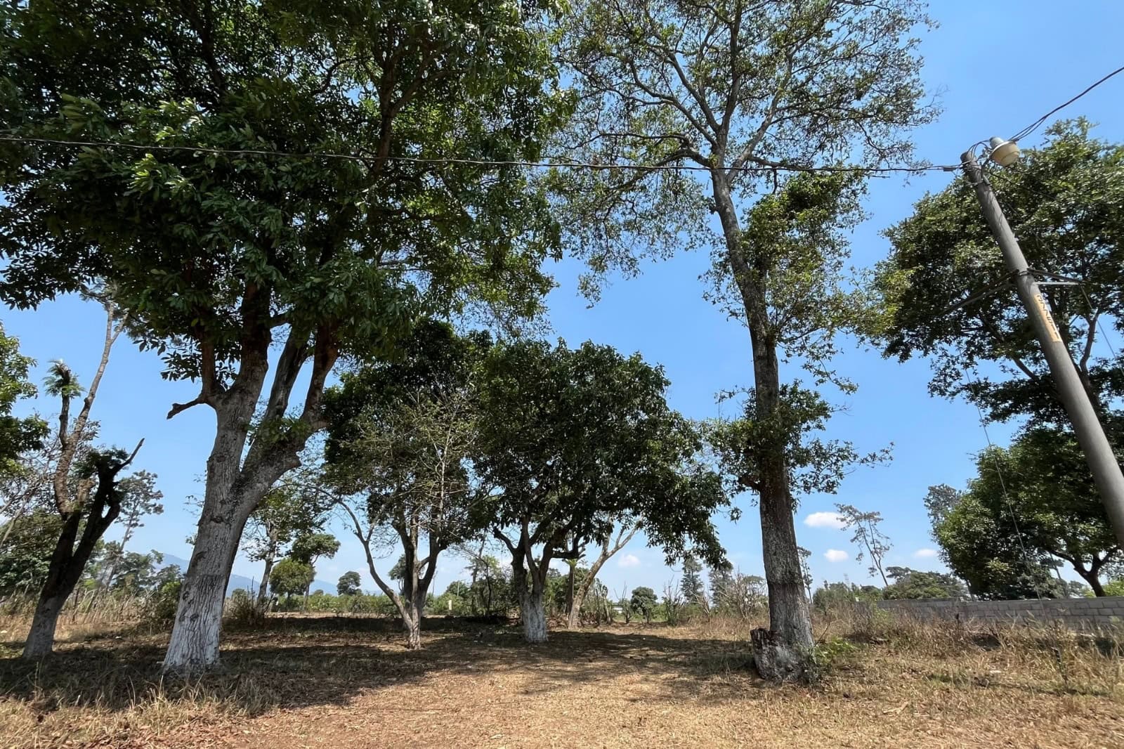 Terreno en Venta en San Luis Pueblo Nuevo — No Residencial Cerrado