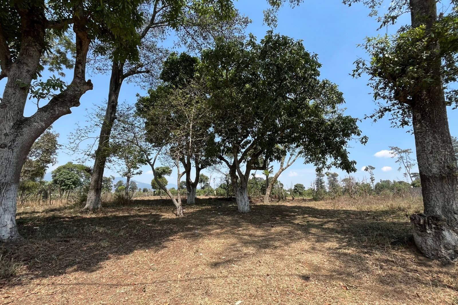 Terreno en Venta en San Luis Pueblo Nuevo — No Residencial Cerrado