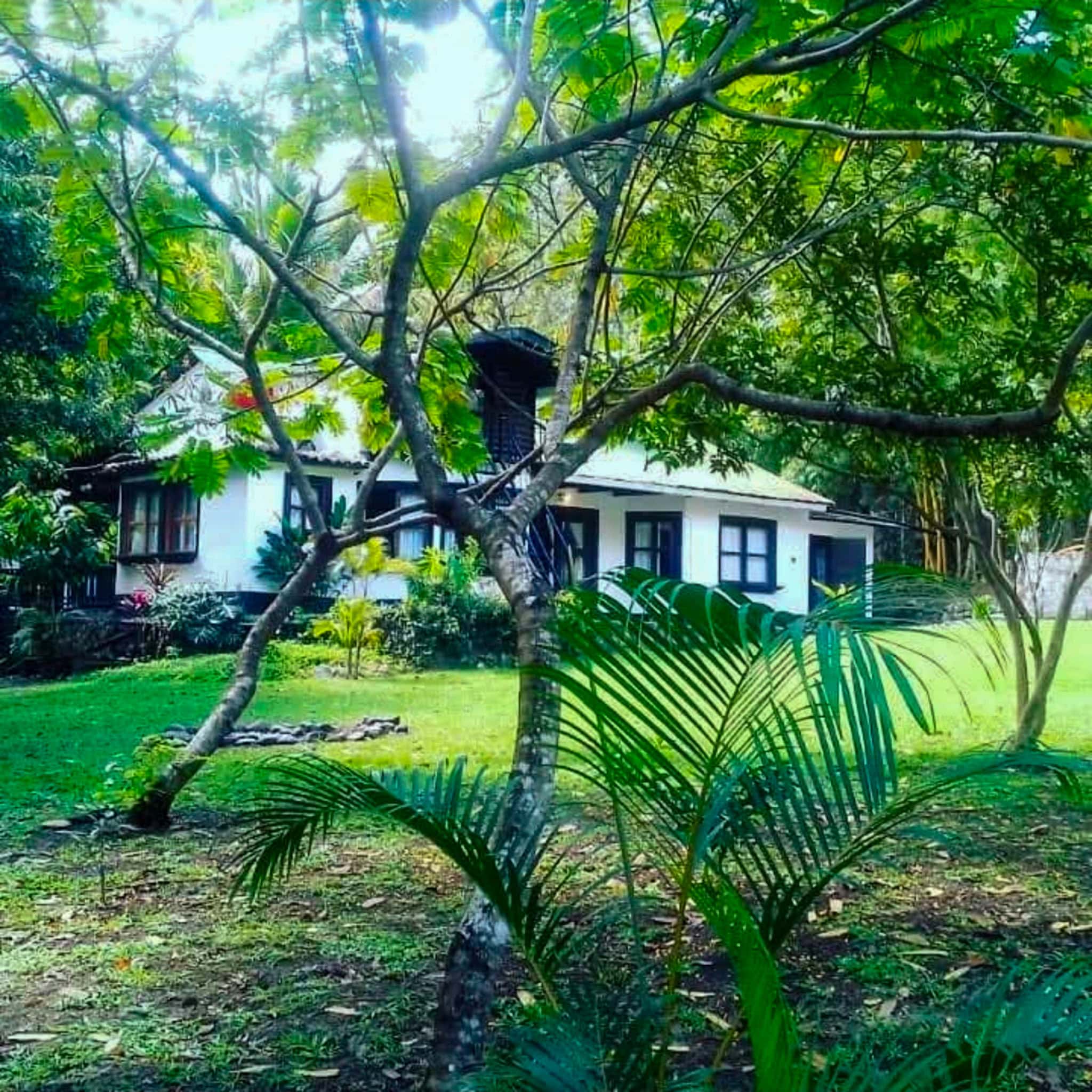 Riverfront Chalet on 4,500 m² of Turquoise Waterfront — 20 Minutes from Semuc Champey