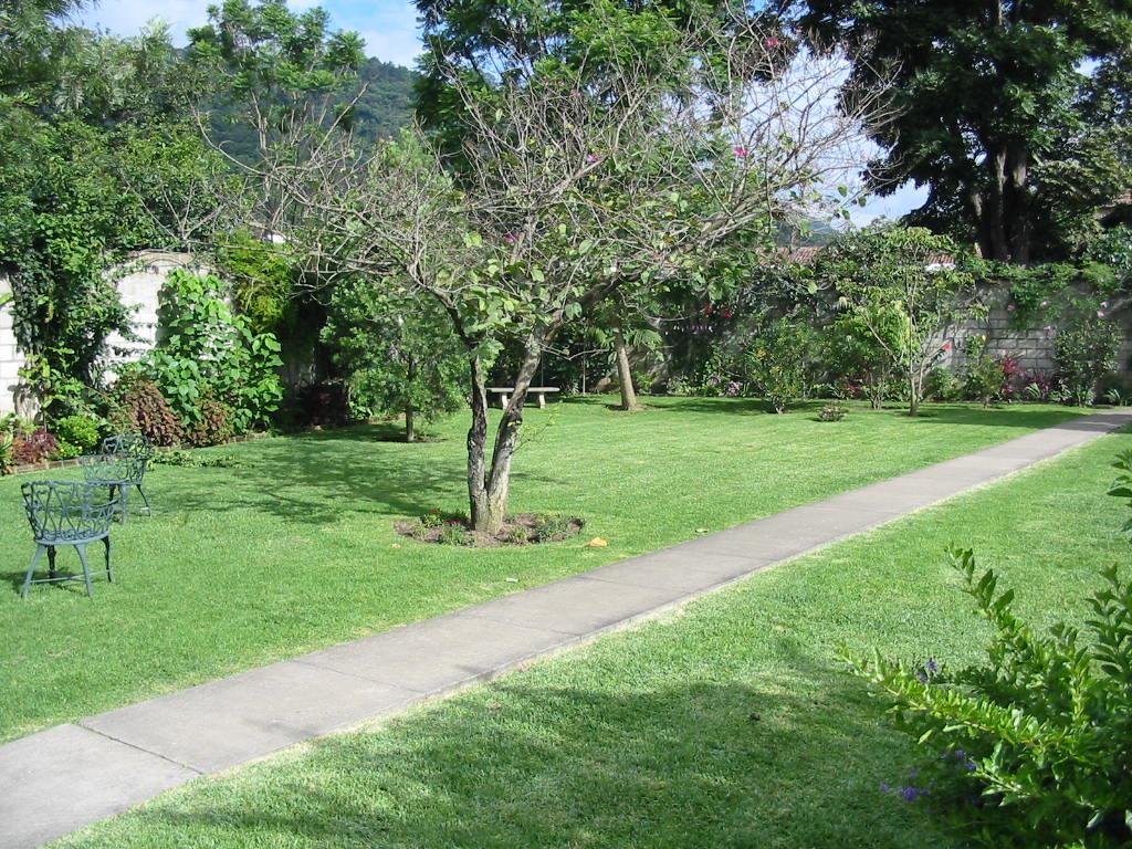 Beautiful 1-Bedroom Retreat Walking Distance to Central Park, FURNISHED!