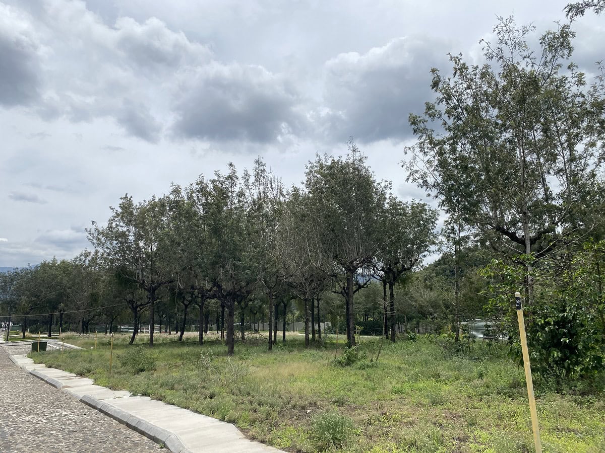 Exclusive Lot for Sale in Residencial Los Apóstoles – Antigua Guatemala