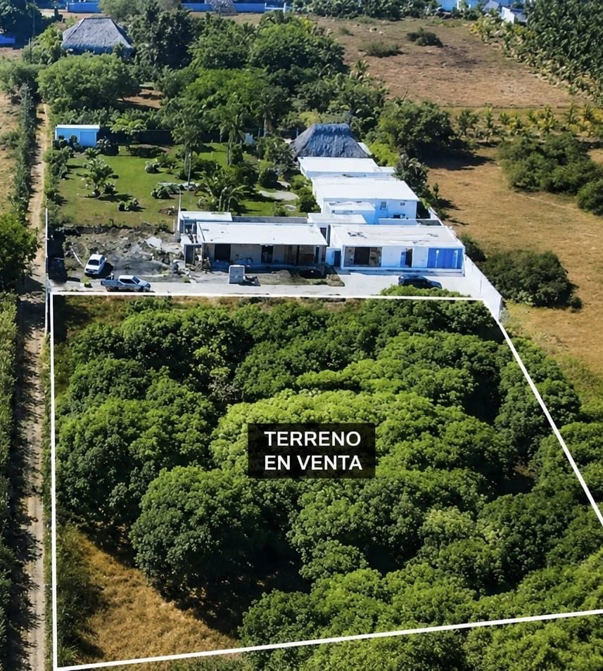 Spacious Coastal Land for Sale – Just 200 Meters from the Beach