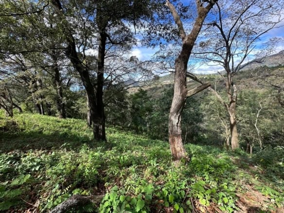 2 Lots for Sale in Santa Lucía Milpas Altas – Nature, Views & Investment Potential