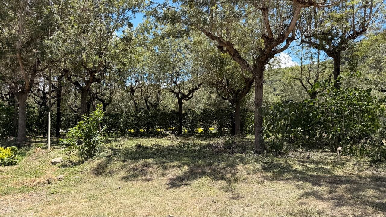 Land for Sale in Los Apóstoles Residential Development