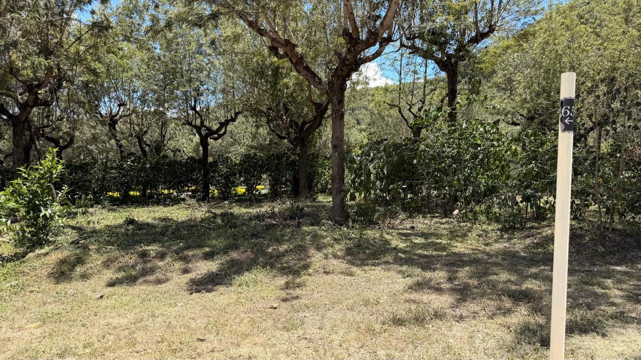 Land for Sale in Los Apóstoles Residential Development