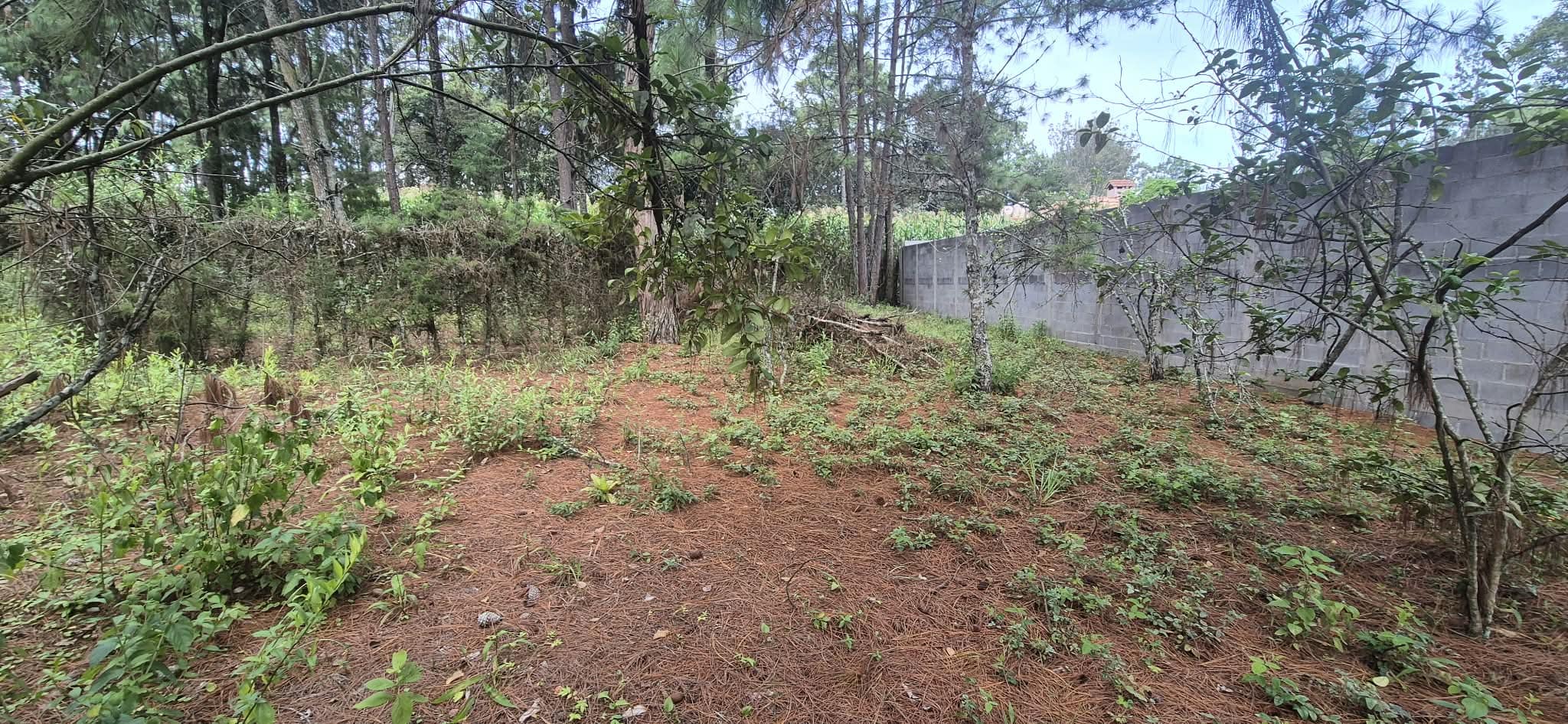 Big lot for sale in beautifull comunity in Santo Domingo Xenacoj