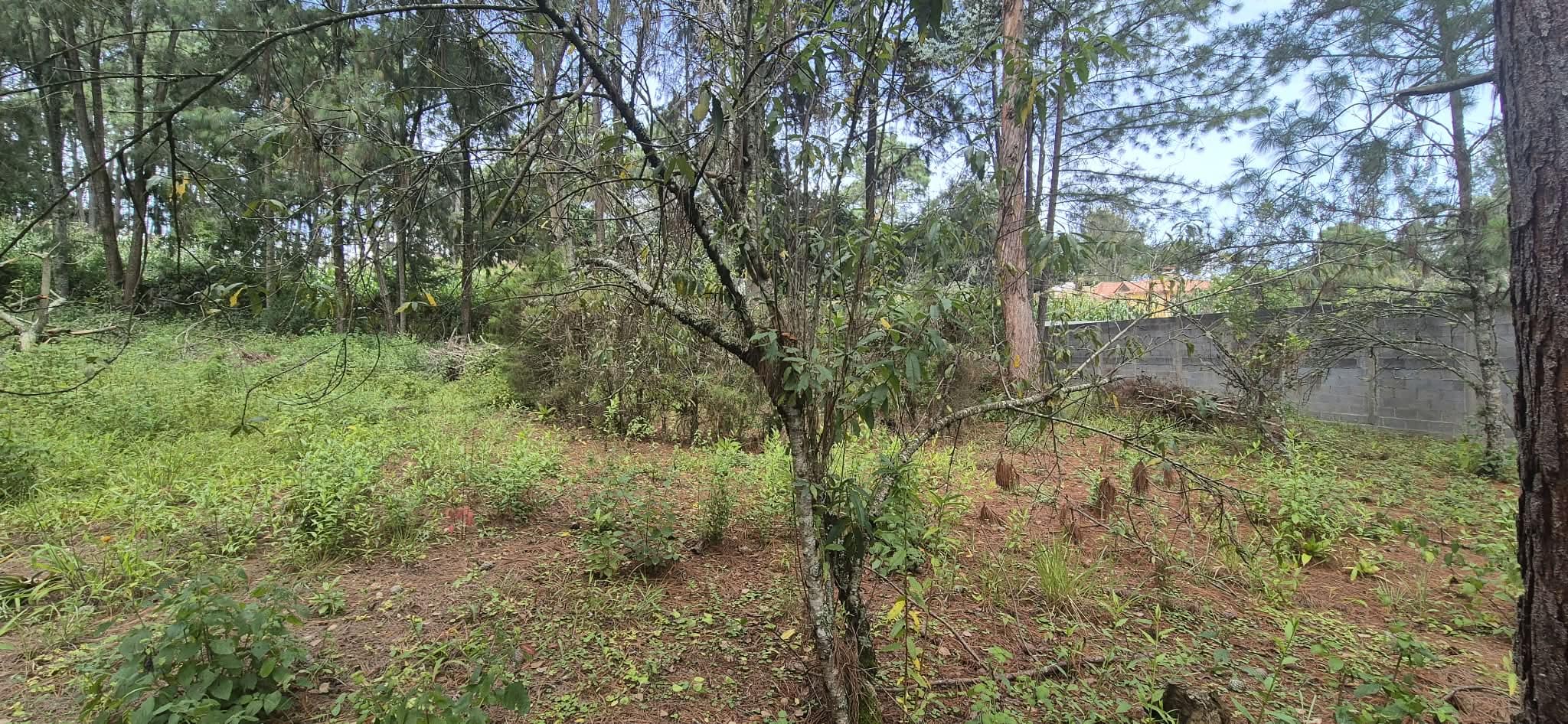 Big lot for sale in beautifull comunity in Santo Domingo Xenacoj
