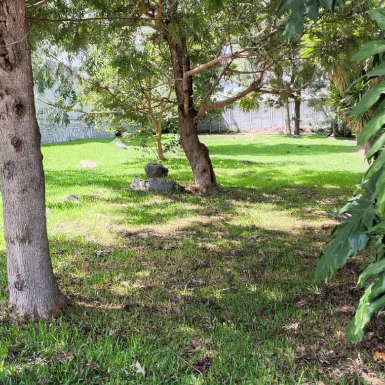 Land for sale in San Pedro las Huertas, Antigua Area, photo 1