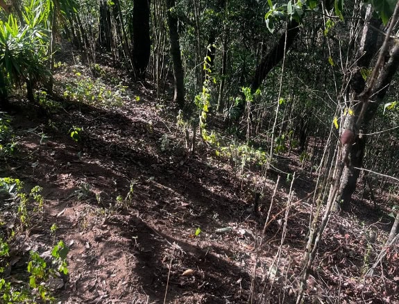 Oportunity to buy Land with Coffee, Views & Investment Potential in El Hato, Antigua Guatemala