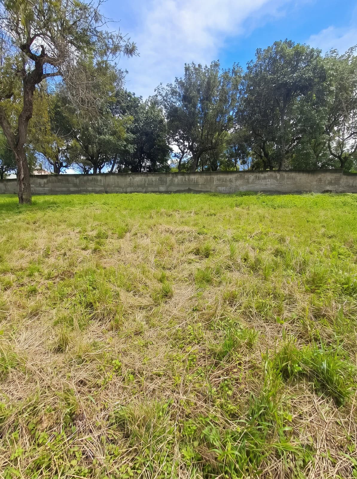 WhatsApp Image 2026-10-22 at 14.06.38 (3) Land for sale in Alotenango, Antigua Area, photo 3