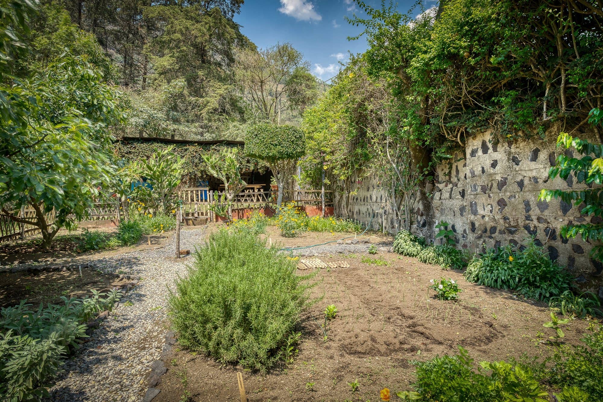 Herb and kitchen garden along the old stone perimeter wall