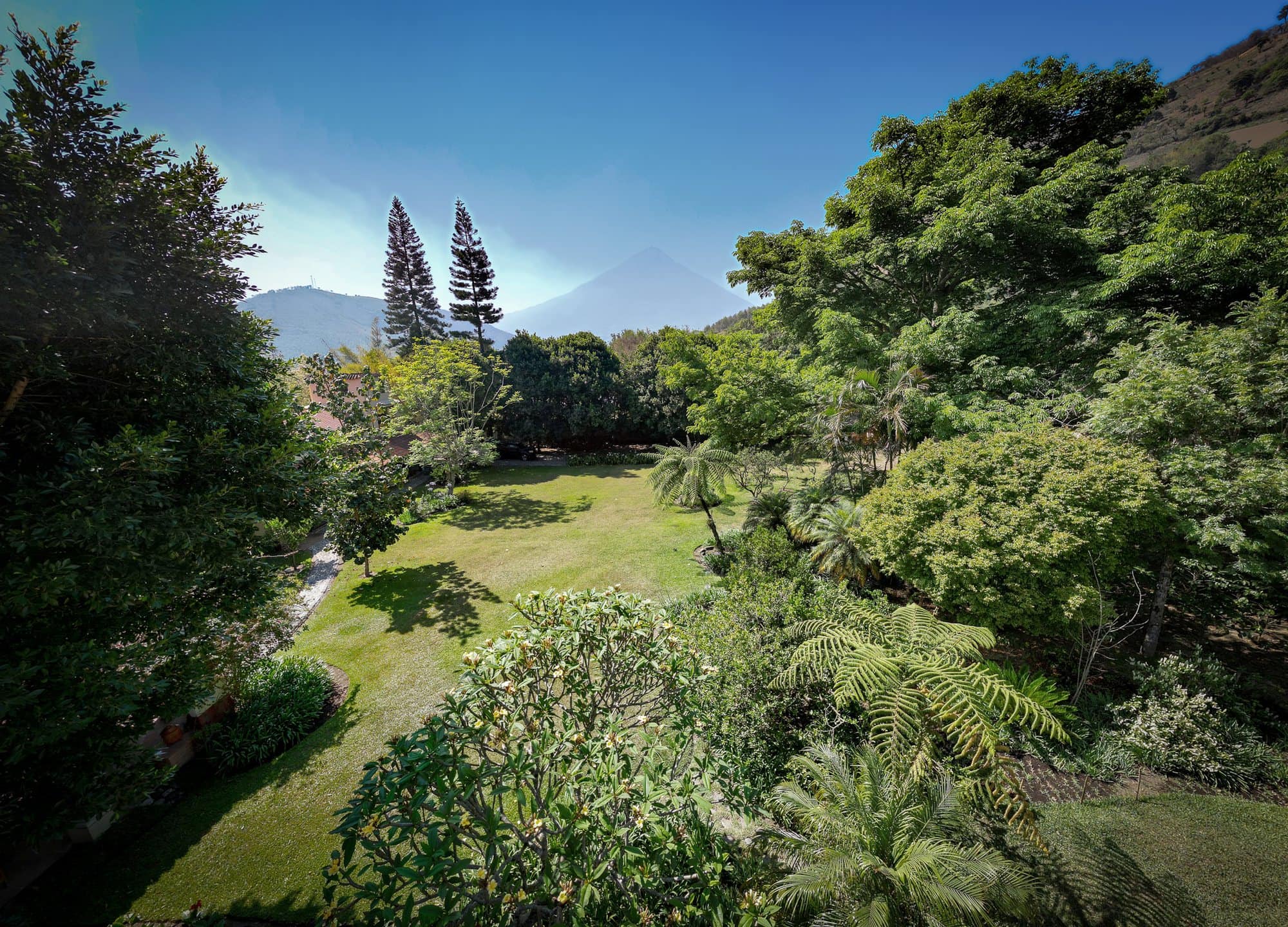 The main lawn seen from above, framed by Norfolk pines and Volcán de Agua