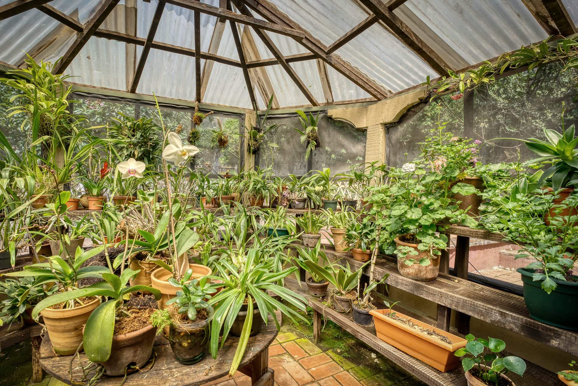 Orchid greenhouse inside the gardens